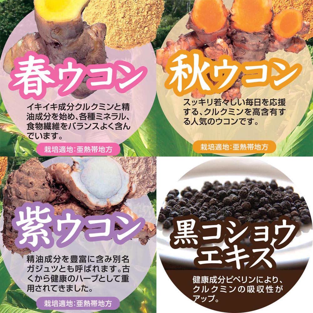 チャンプルーウコン ウコン粒 沖縄県産ウコン使用 93粒×1袋 飲みやすいタブレット Okinawa Triple Turmeric＋Black Pepper Extract, 93 tablets