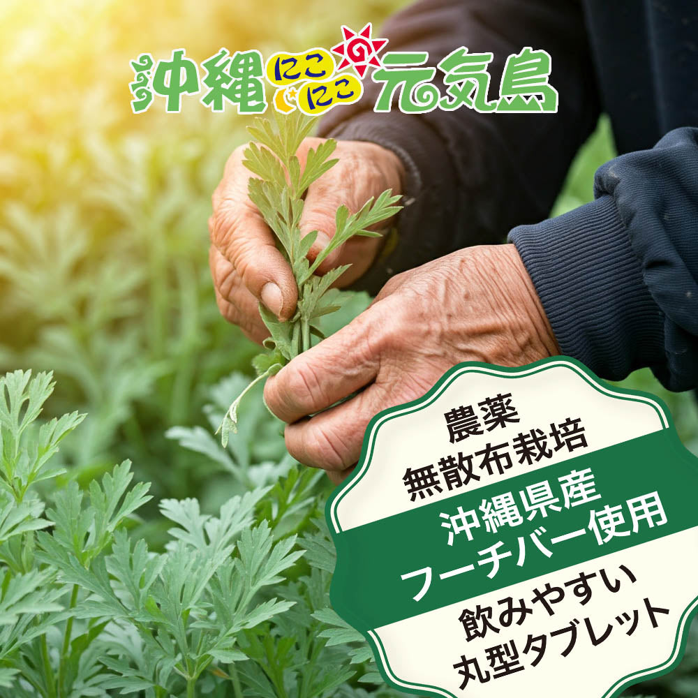 琉球ヨモギ粒 よもぎ粒 沖縄県産よもぎ使用 60粒×1袋 飲みやすいタブレット supplments(tablets) Green superfood from Okinawa