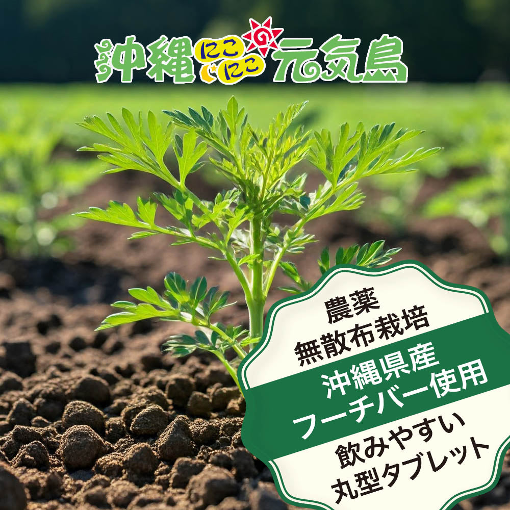 琉球ヨモギ粒 よもぎ粒 沖縄県産よもぎ使用 60粒×1袋 飲みやすいタブレット supplments(tablets) Green superfood from Okinawa