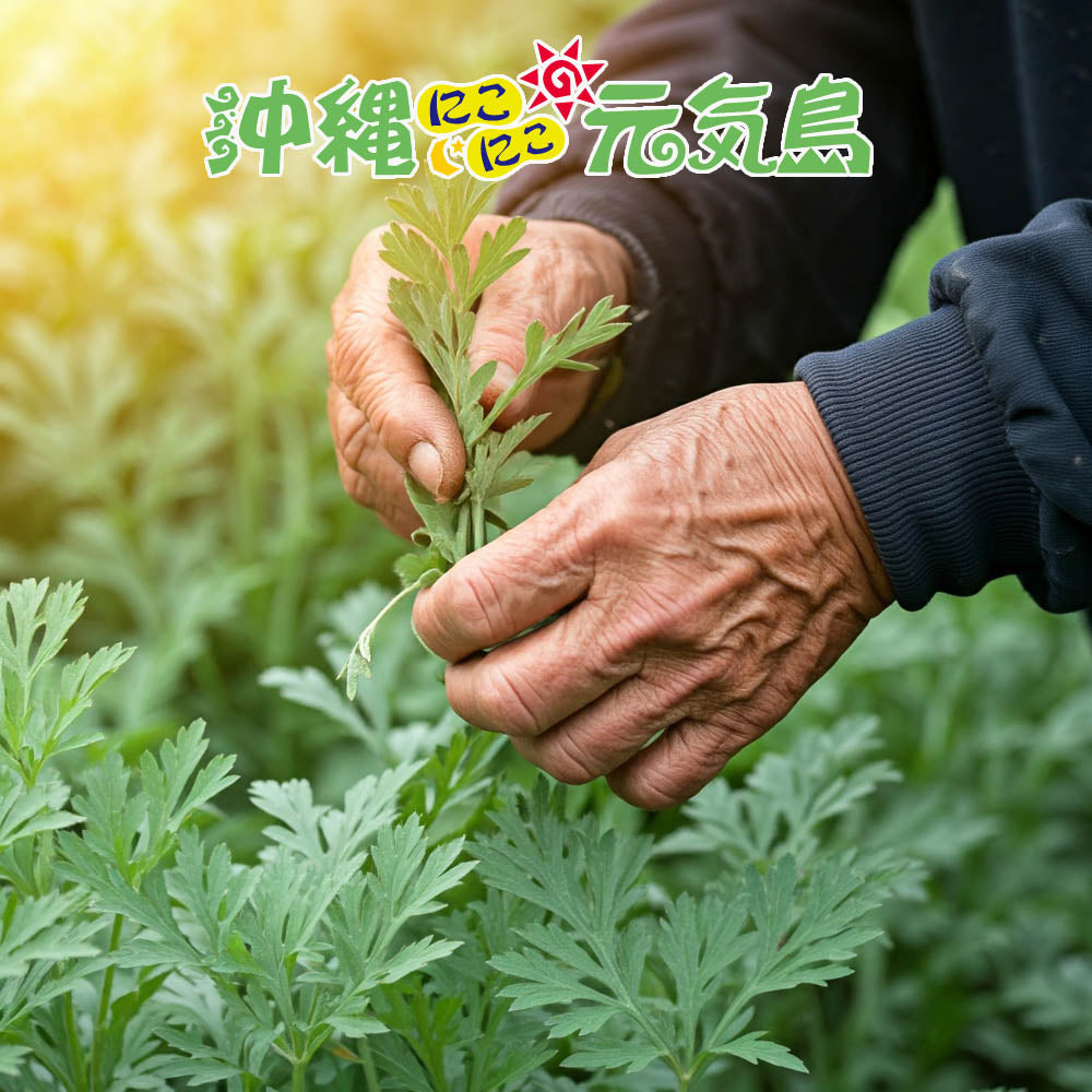 よもぎエキス フーチバーエキス 沖縄県産よもぎ使用 900ml wormwood mugwort juice Green superfood from Okinawa