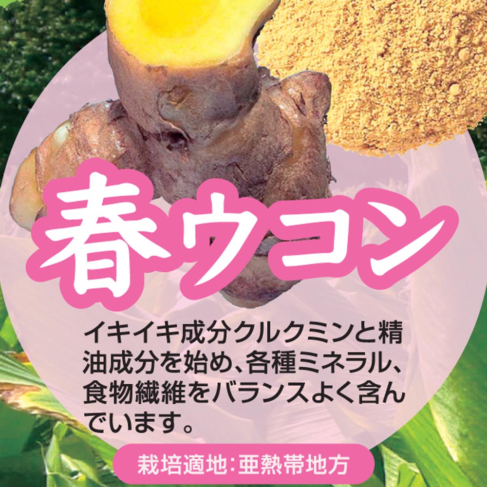 チャンプルーウコン ウコン粒 沖縄県産ウコン使用 93粒×1袋 飲みやすいタブレット Okinawa Triple Turmeric＋Black Pepper Extract, 93 tablets