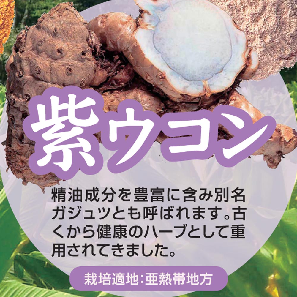 チャンプルーウコン ウコン粒 沖縄県産ウコン使用 93粒×1袋 飲みやすいタブレット Okinawa Triple Turmeric＋Black Pepper Extract, 93 tablets