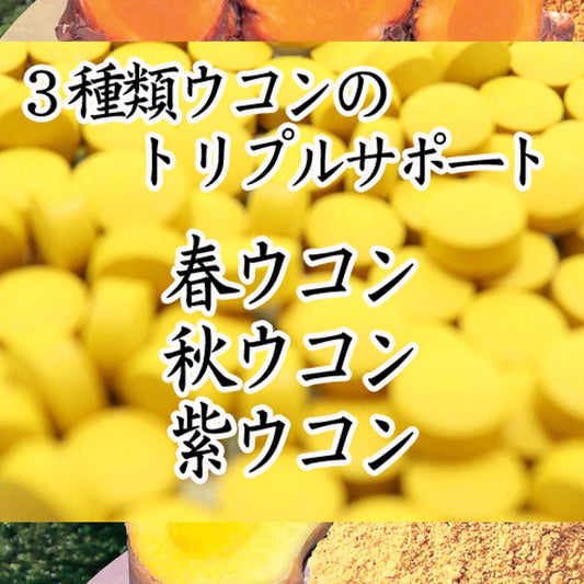 チャンプルーウコン ウコン粒 沖縄県産ウコン使用 93粒×1袋 飲みやすいタブレット Okinawa Triple Turmeric＋Black Pepper Extract, 93 tablets